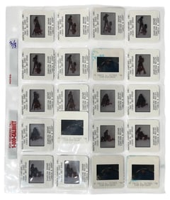 Photo Slide Collection