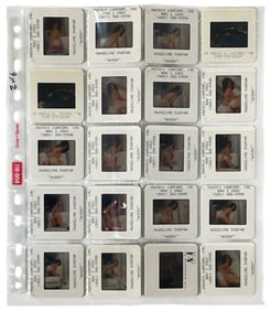 Photo Slide Collection