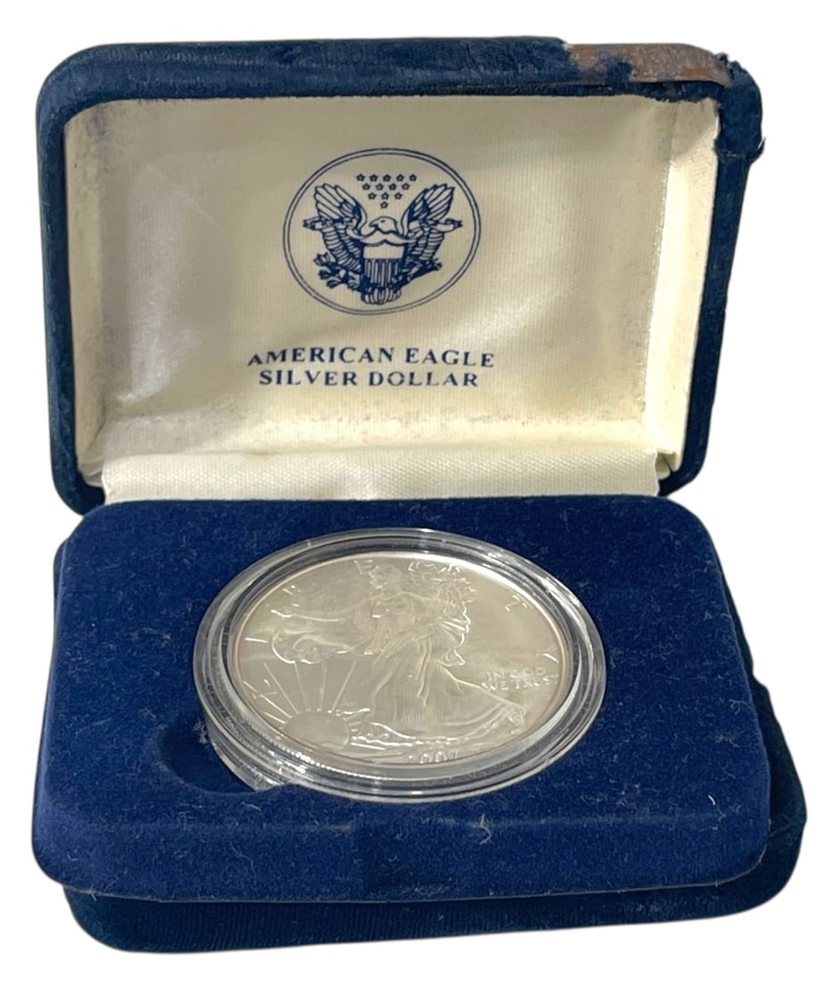 2007 American Eagle Coin (1 of 4)