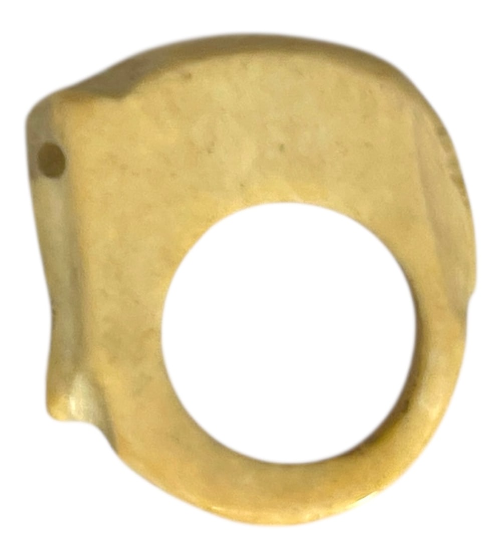 Bone Bangle Bracelet and Ring - 4