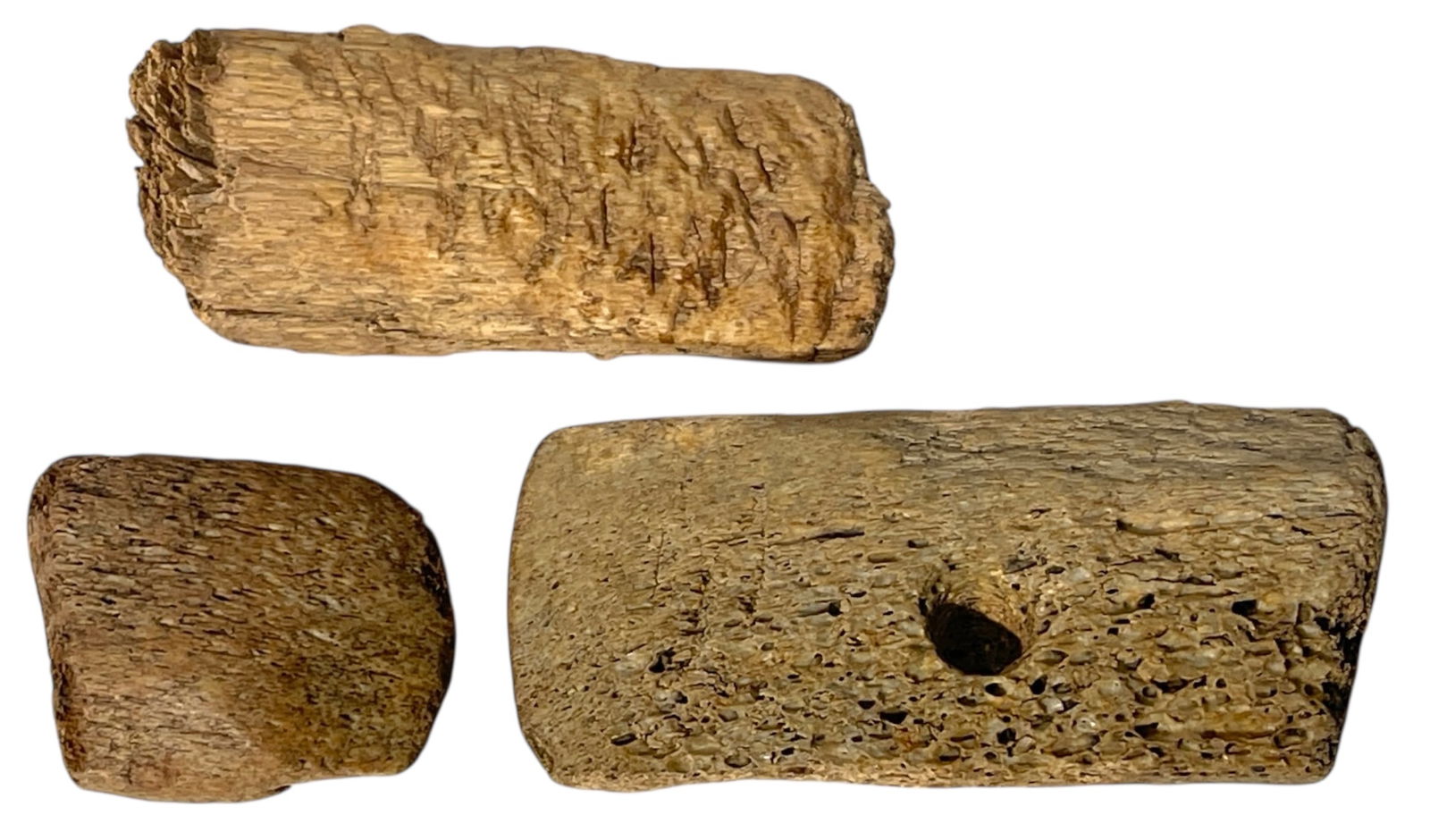 Objects Made of Bone - 2