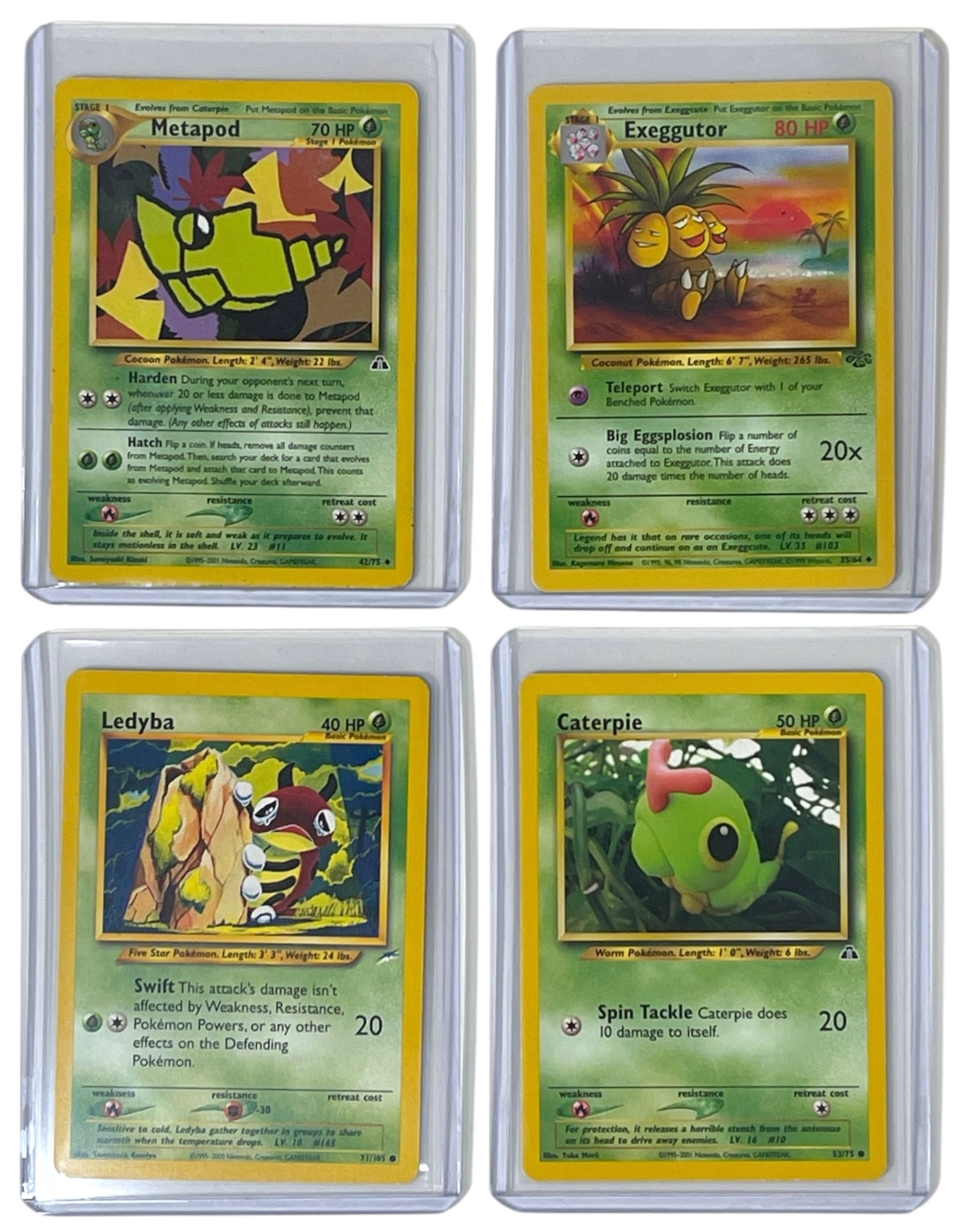 Pokemon Trading Card Collection (1 of 2)