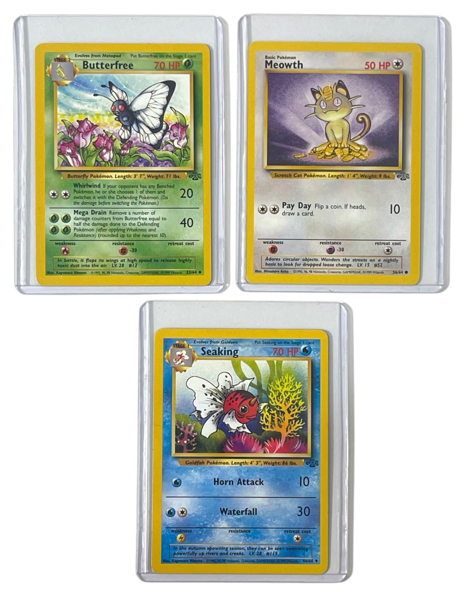 Pokemon Trading Card Collection (1 of 2)