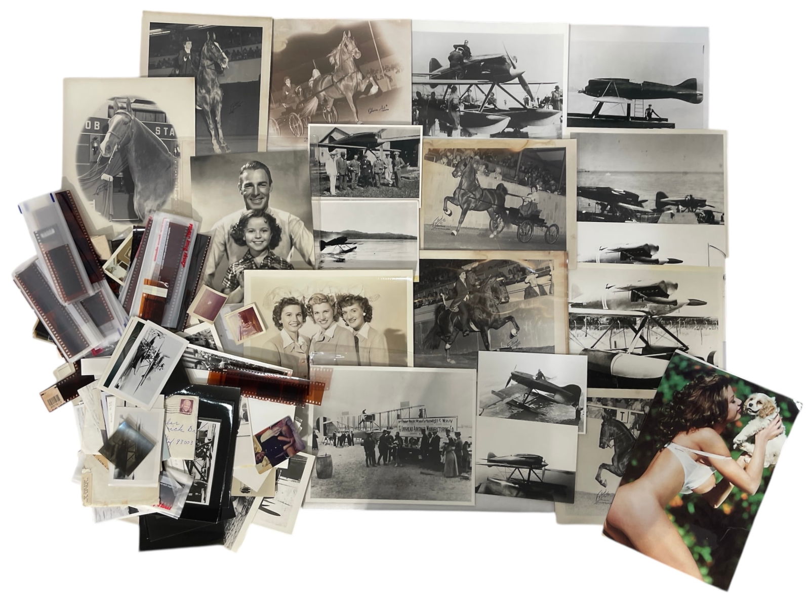 Movie And Actor Photo and Film Collection (1 of 1)