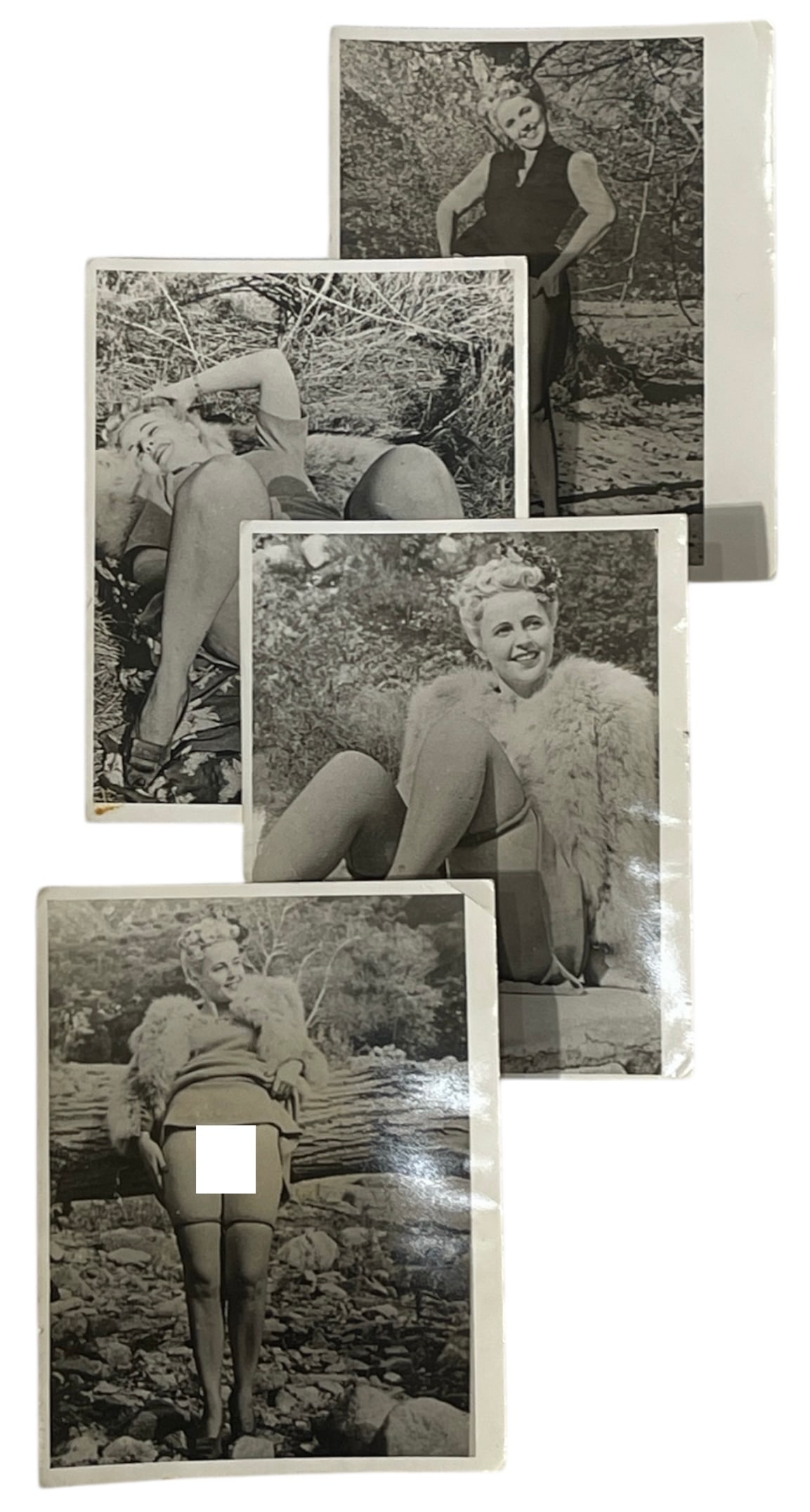 Photo Collection: Photo Collection