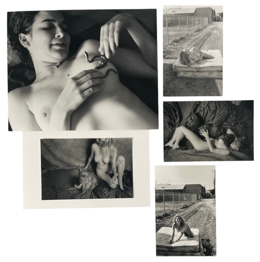 Photo Collection (1 of 1)