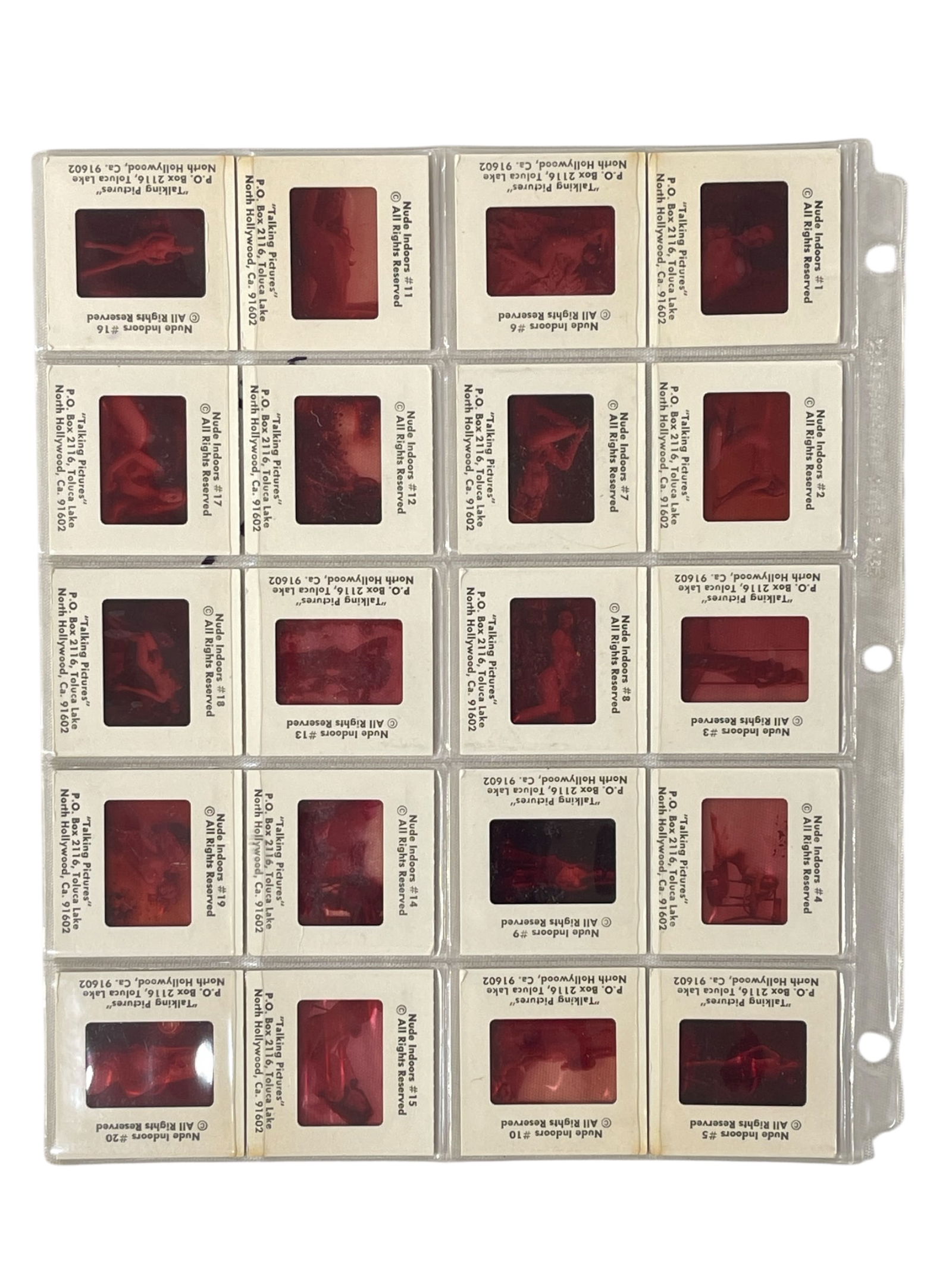 Photo Slide Collection: Photo Slide Collection