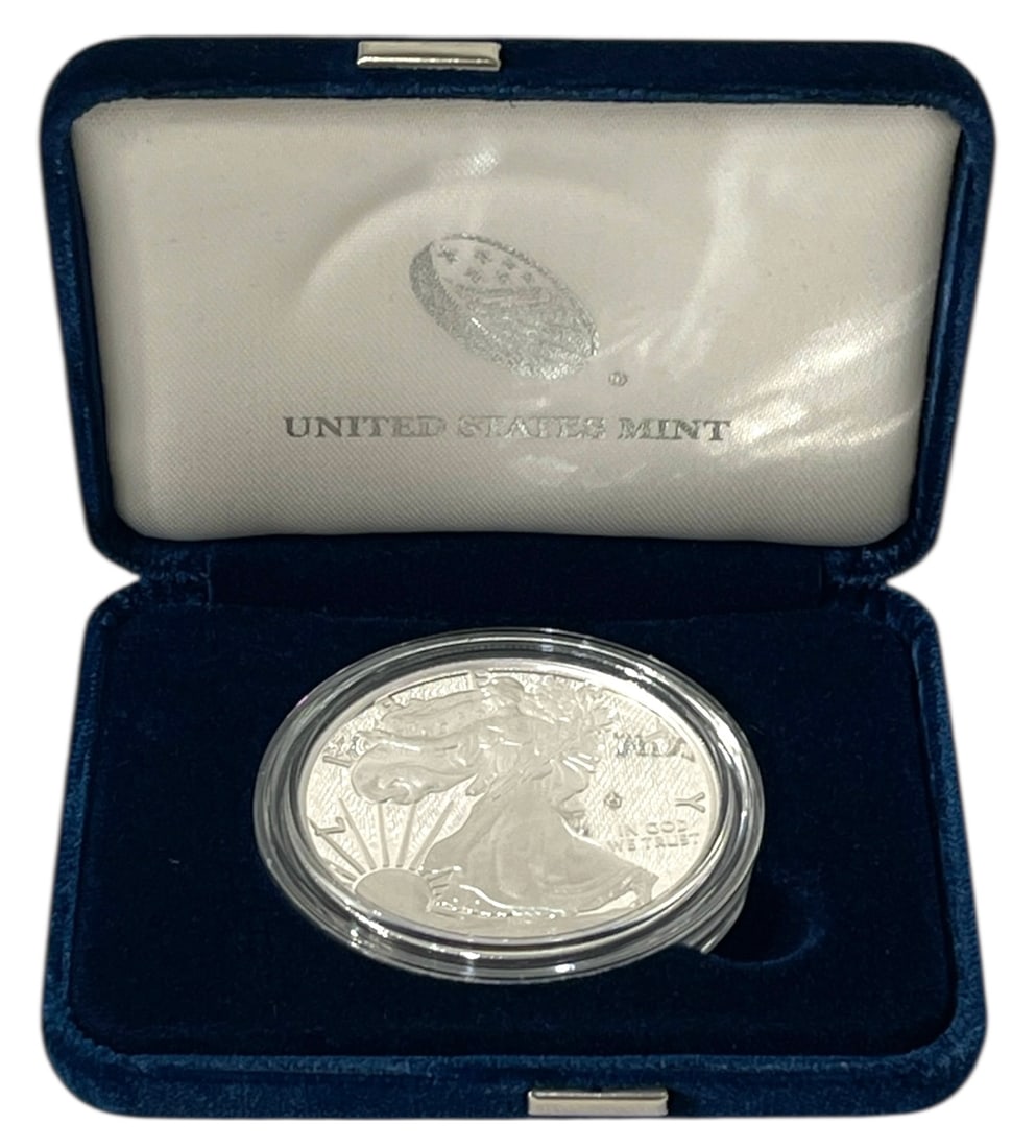 2018 American Silver Eagle Coin (1 of 3)