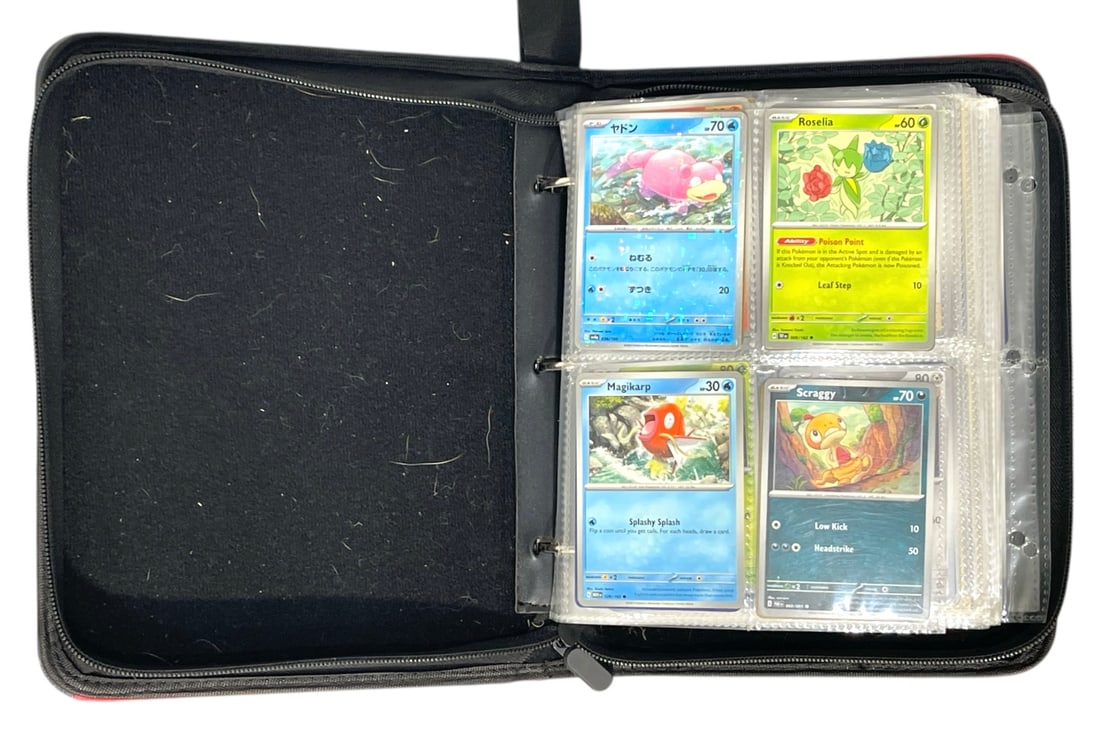 Pokemon Trading Card Collection | 368 pc. (1 of 12)