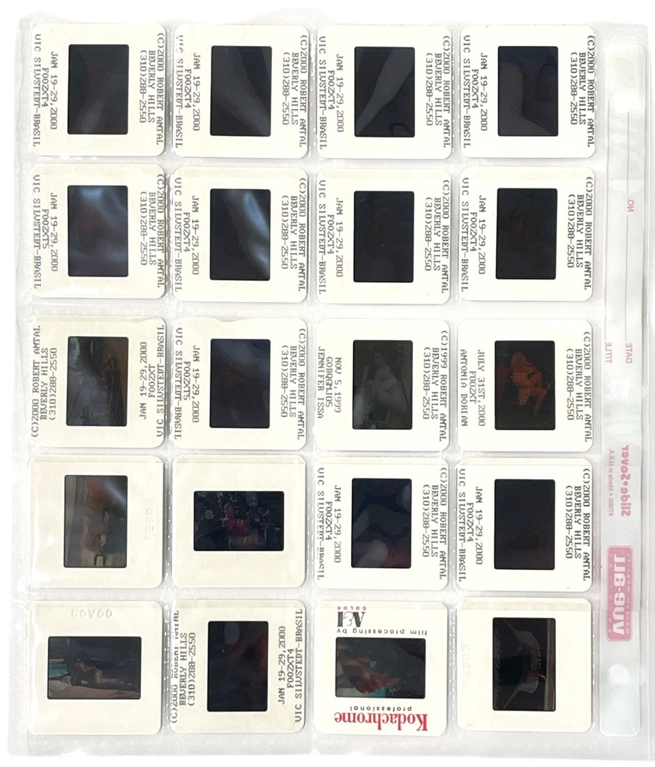 Photo Slide Collection: Photo Slide Collection