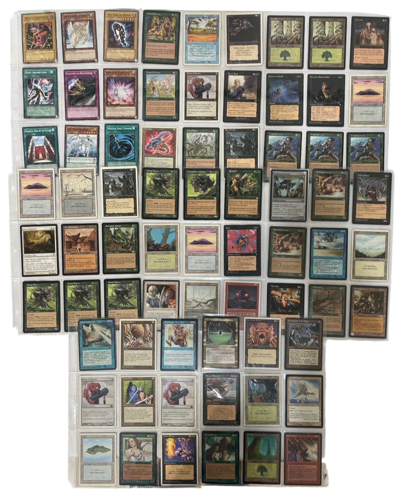 Magic the Gathering and Yu Gi Oh Trading Card Collection (1 of 2)