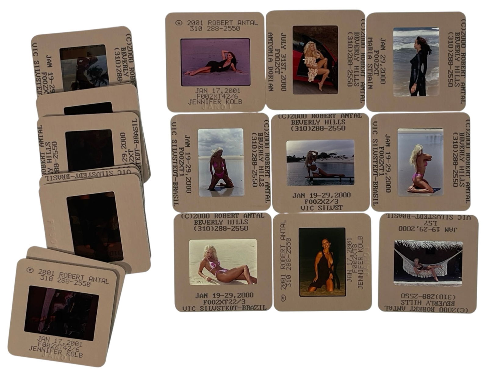 Photo Slide Collection: Photo Slide Collection