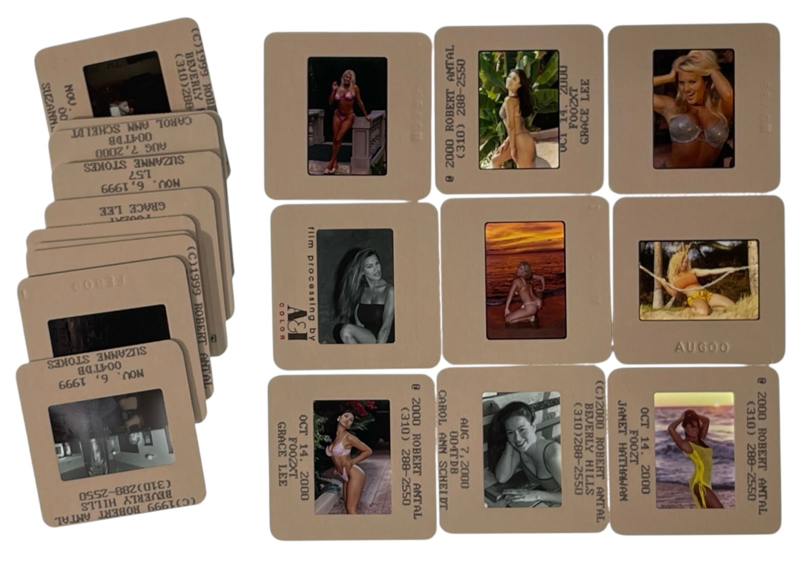 Photo Slide Collection: Photo Slide Collection