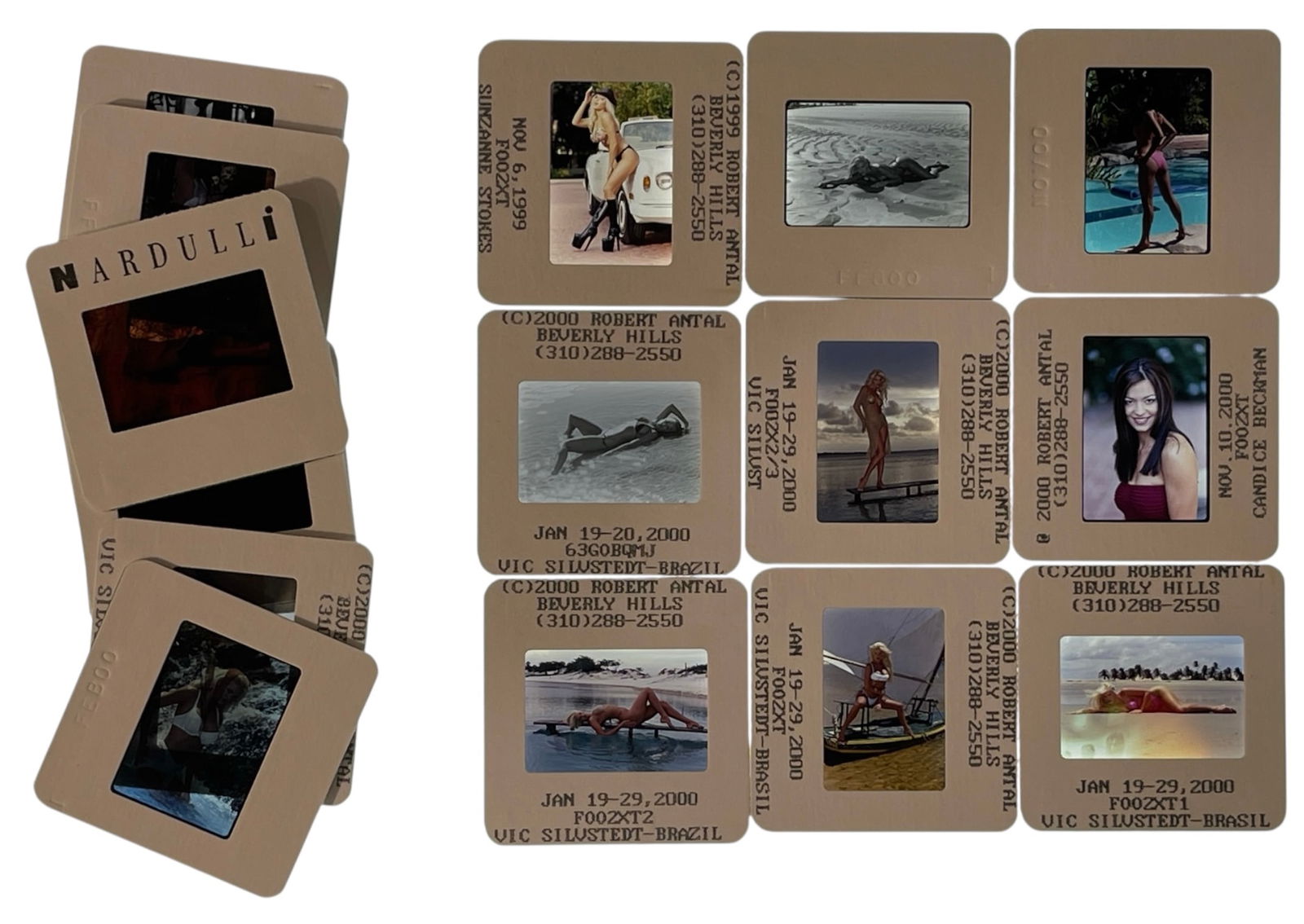 Photo Slide Collection: Photo Slide Collection