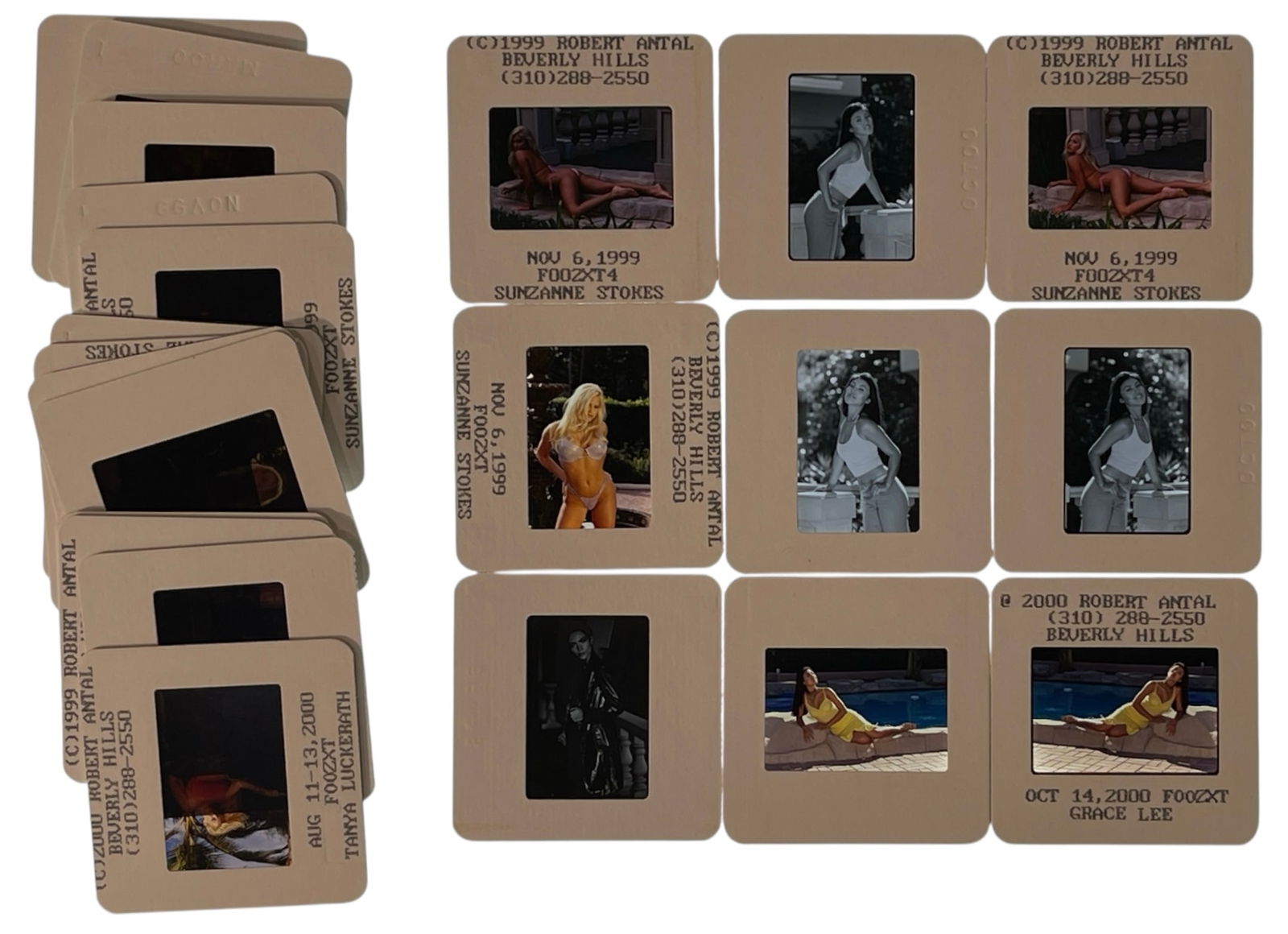 Photo Slide Collection: Photo Slide Collection