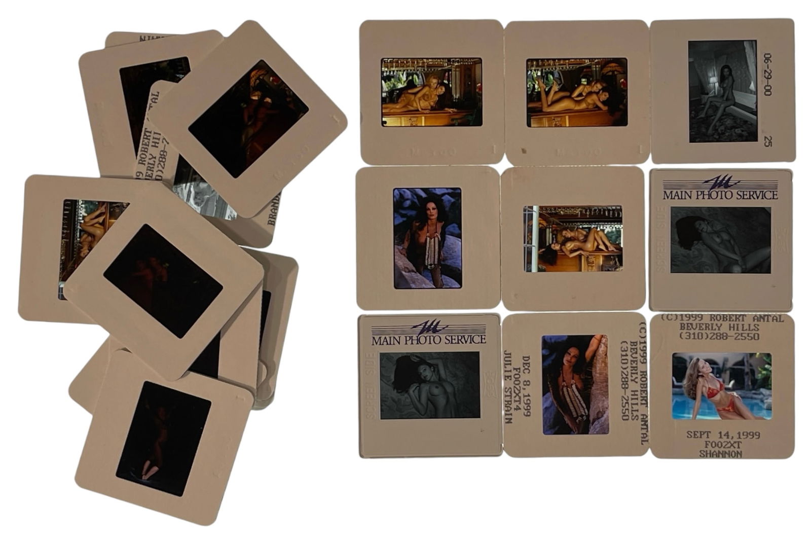 Photo Slide Collection: Photo Slide Collection