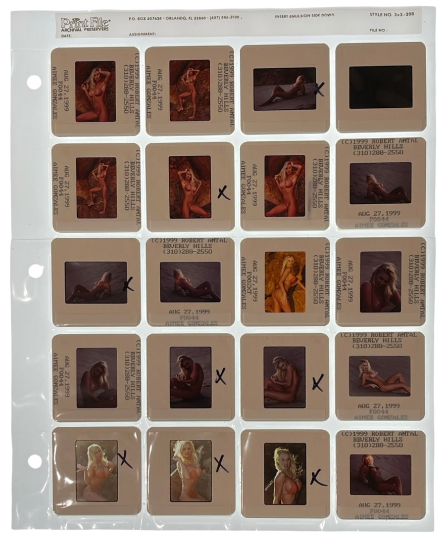 Photo Slide Collection: Photo Slide Collection