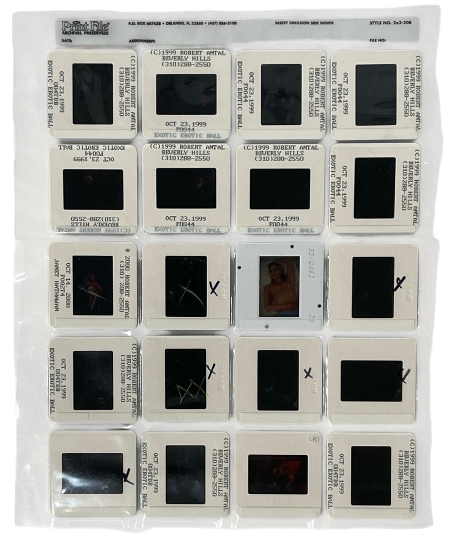 Photo Slide Collection: Photo Slide Collection