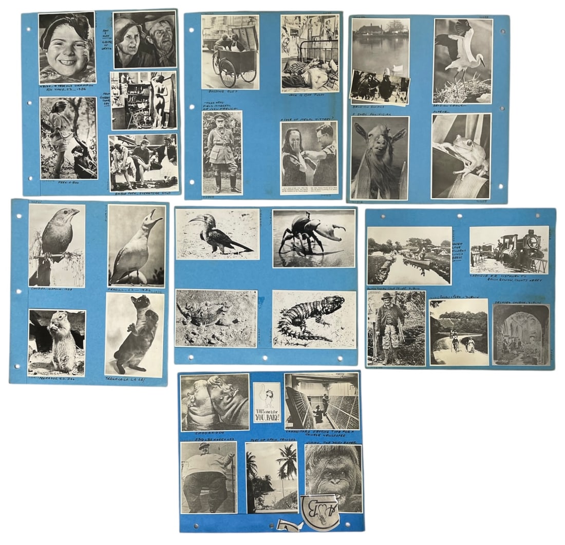 Vintage Photo Collection (1 of 2)