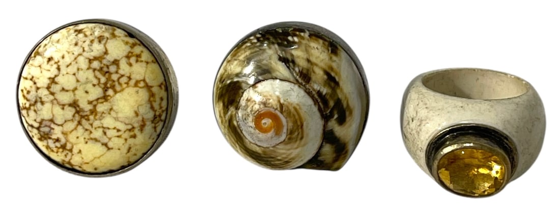 Silver Ring Collection: AUTHENTICATION HAS NOT BEEN PERFORMED TO GUARANTEE VERIFICATION | All purchases are made at the buyers discretion