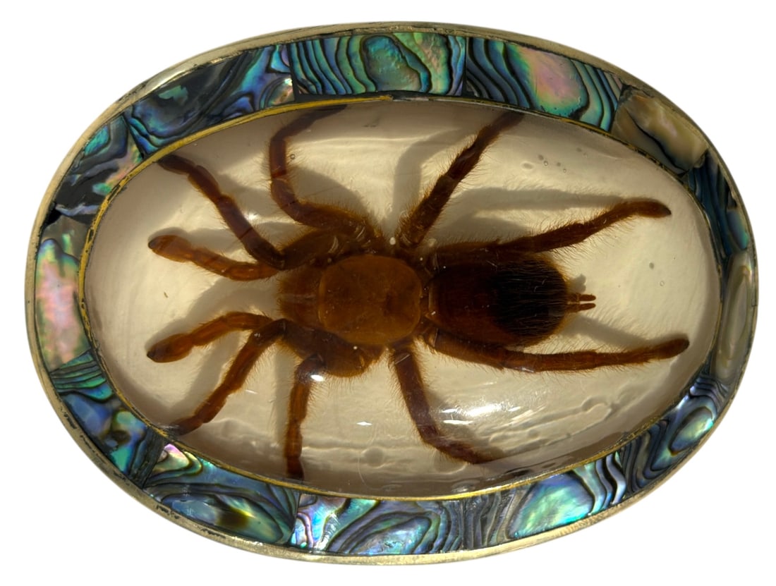 Belt Buckle with Tarantula: Belt Buckle with Tarantula