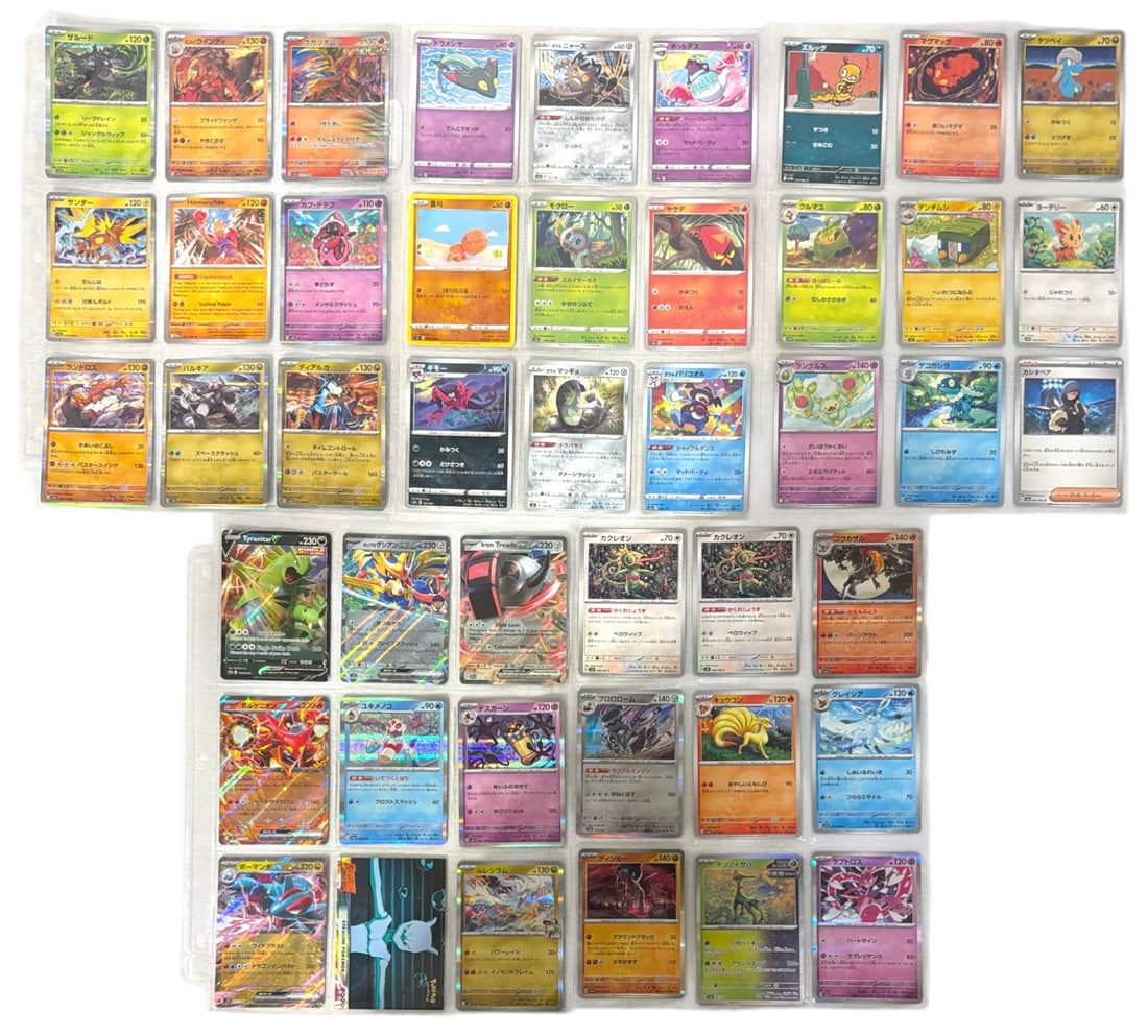 Pokemon Trading Card Collection: AUTHENTICATION HAS NOT BEEN PERFORMED TO GUARANTEE VERIFICATION | All purchases are made at the buyers discretion