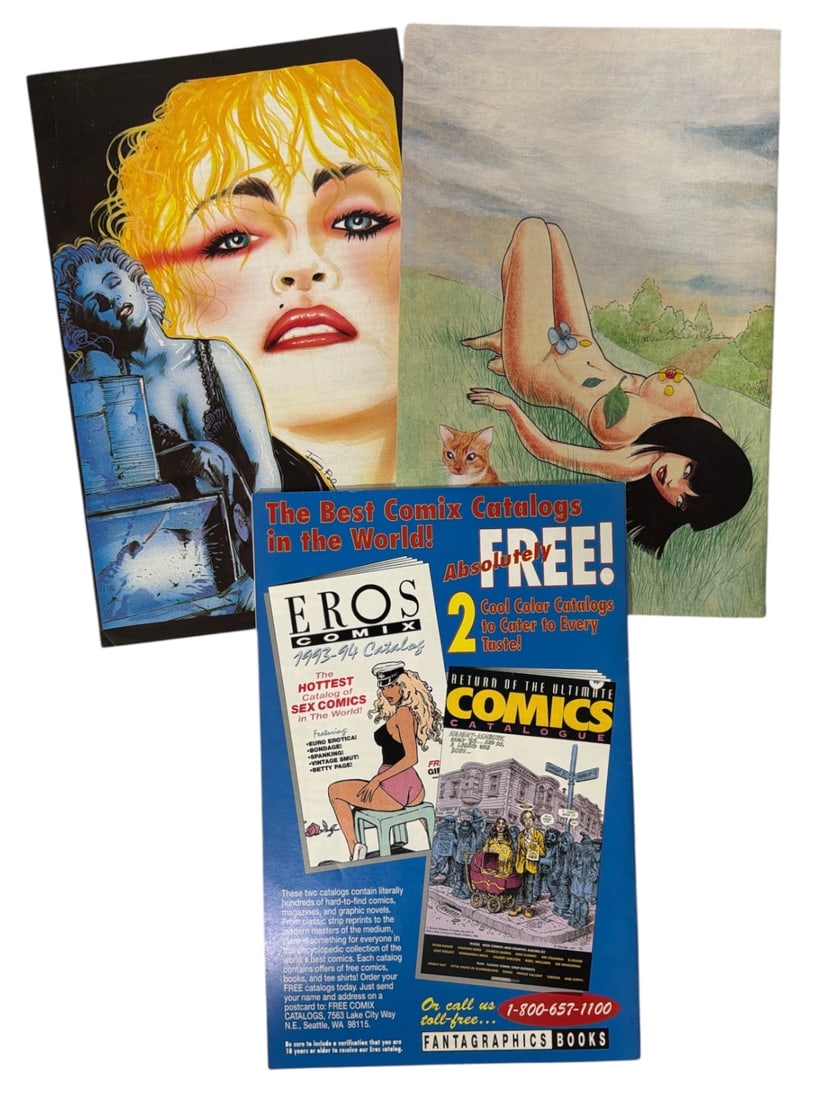 Comic Book Collection | 3 pc. - 2