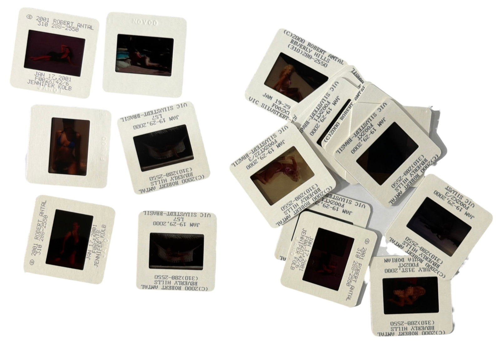 Photo Slide Collection: Photo Slide Collection