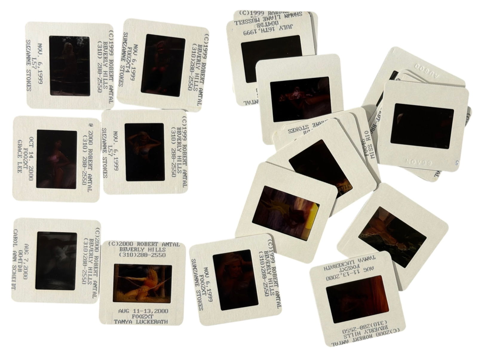 Photo Slide Collection: Photo Slide Collection