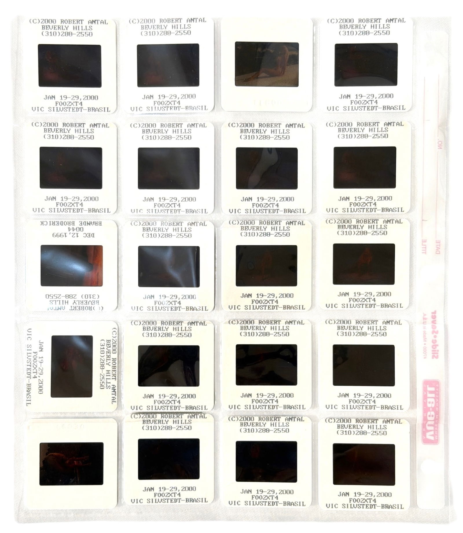 Photo Slide Collection: Photo Slide Collection