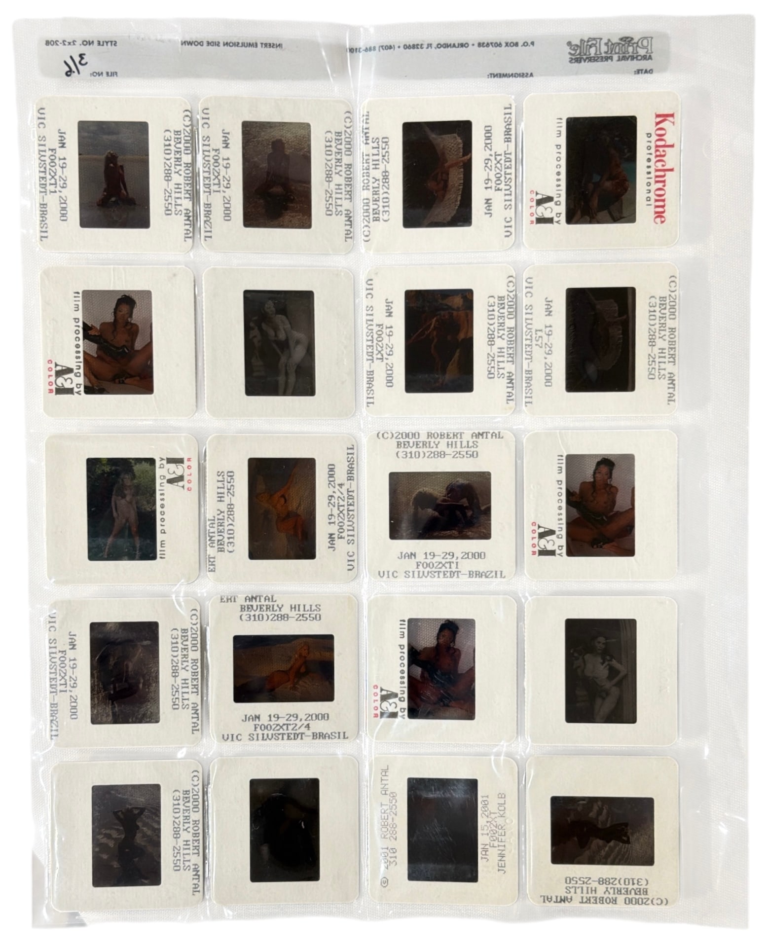 Photo Slide Collection: Photo Slide Collection