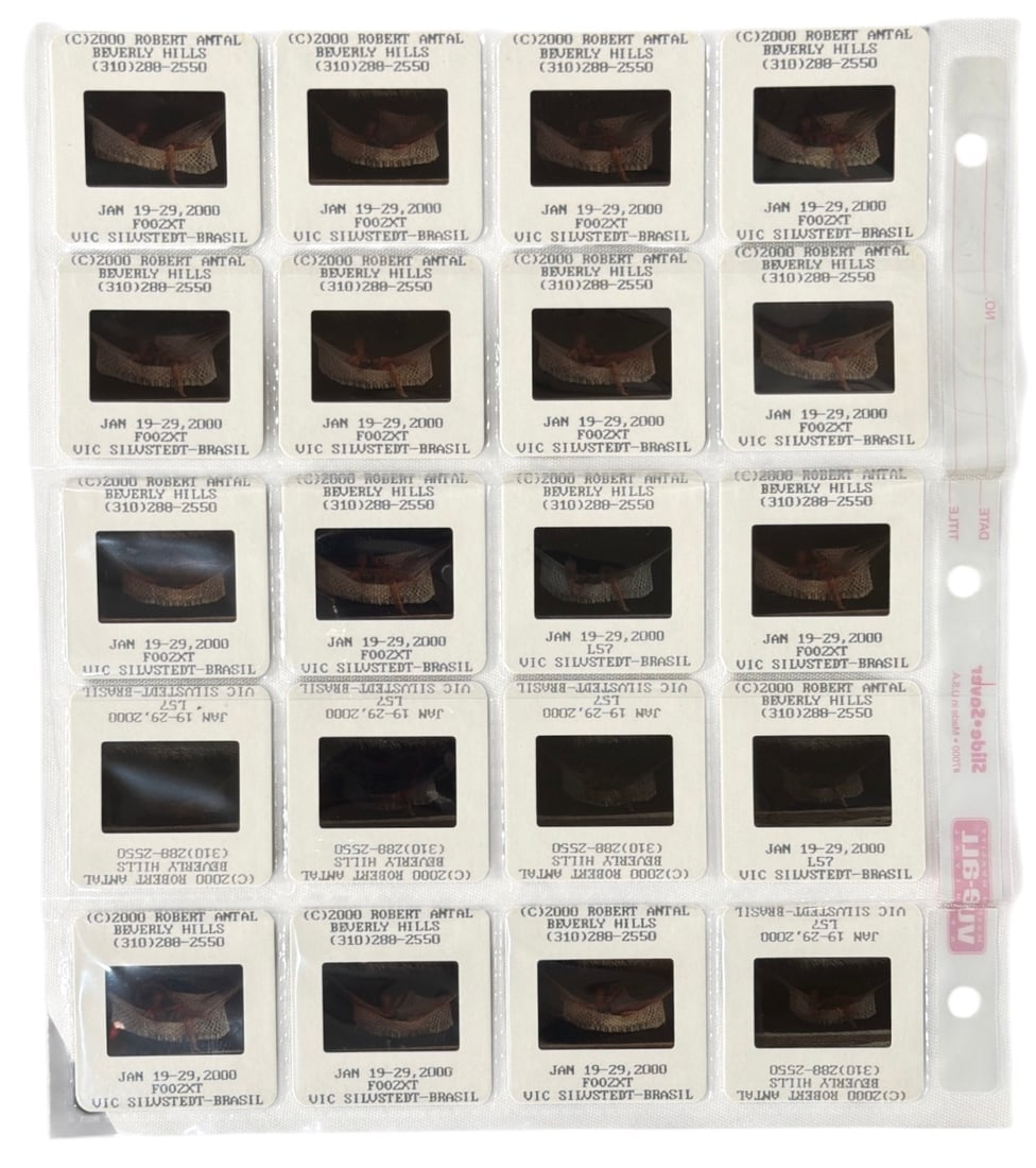 Photo Slide Collection: Photo Slide Collection