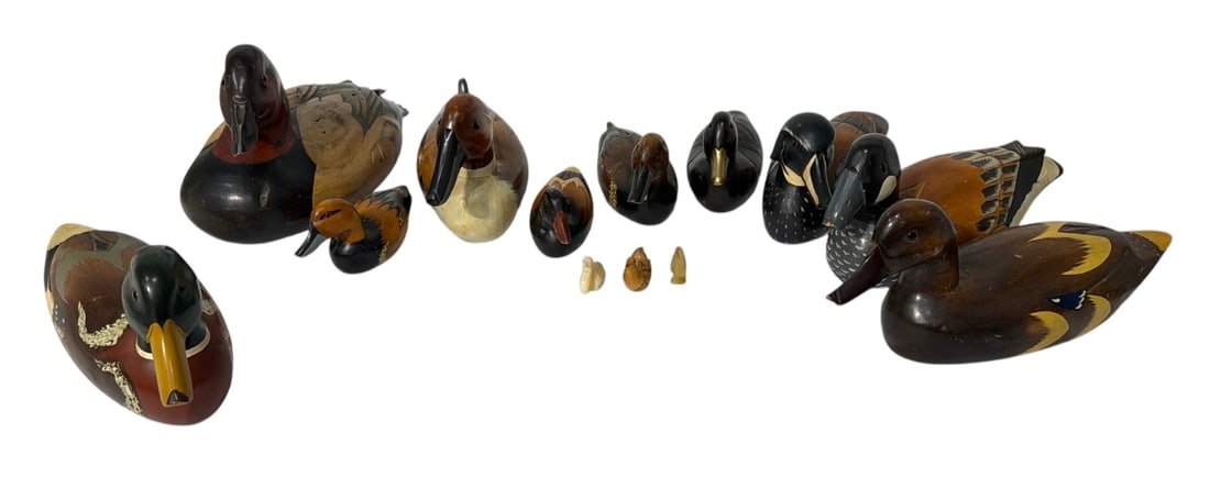 Decoy and Decorative Duck Collection: Decoy and Decorative Duck Collection