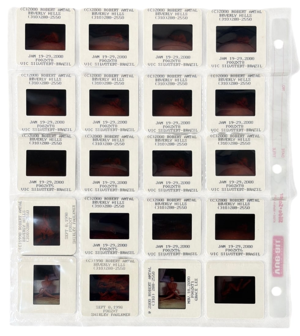 Photo Slide Collection: Photo Slide Collection