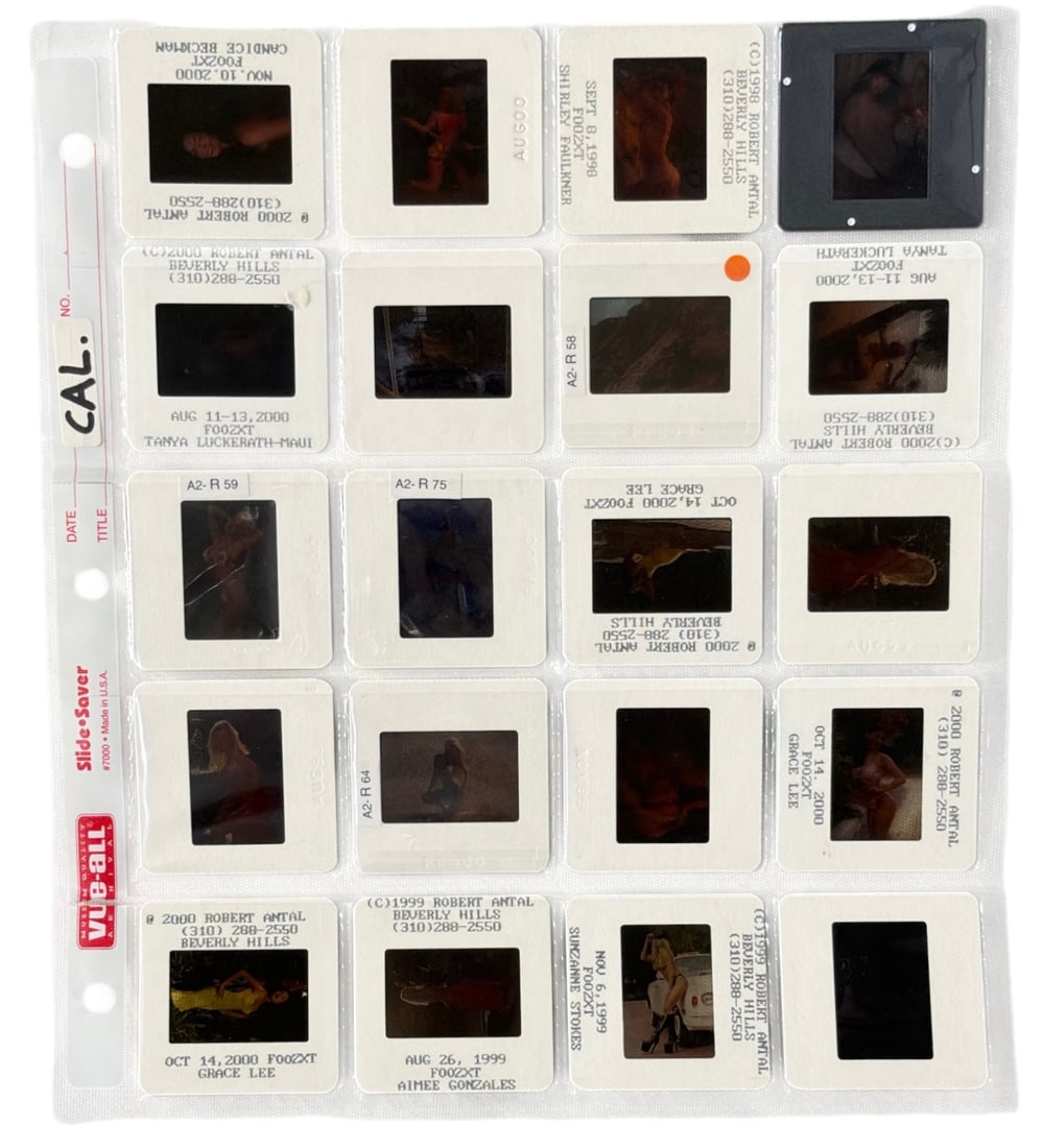 Photo Slide Collection (1 of 1)