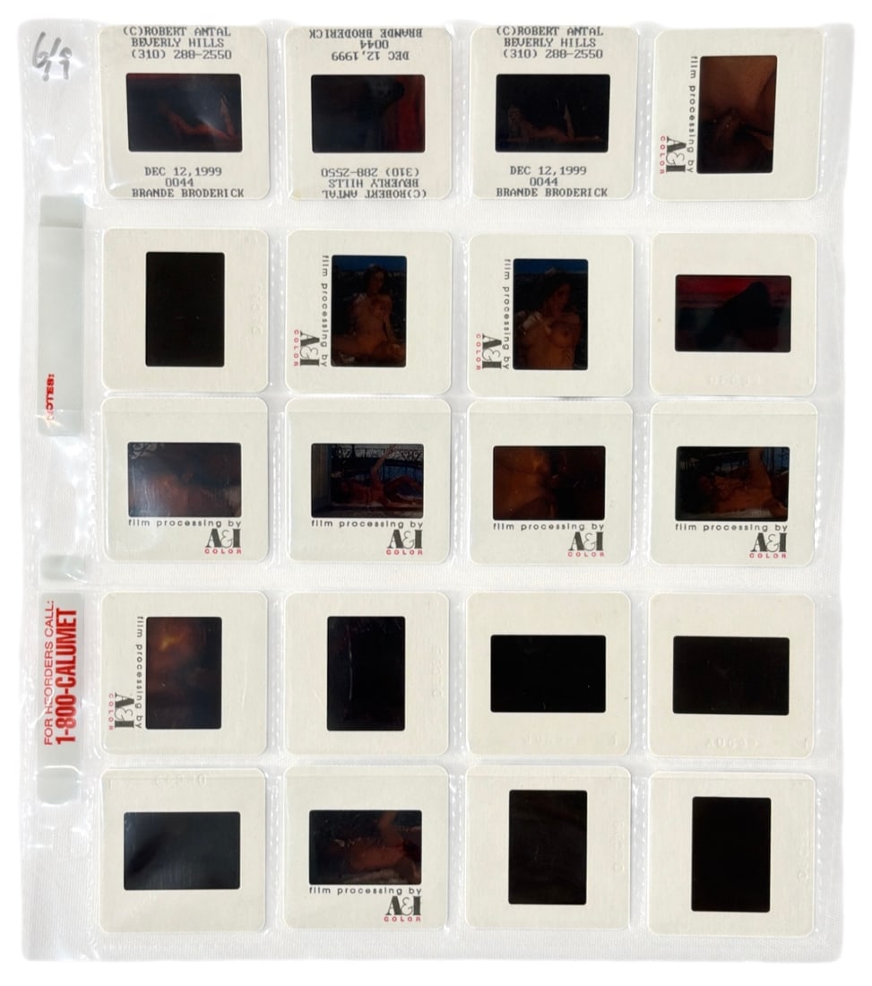 Photo Slide Collection (1 of 1)