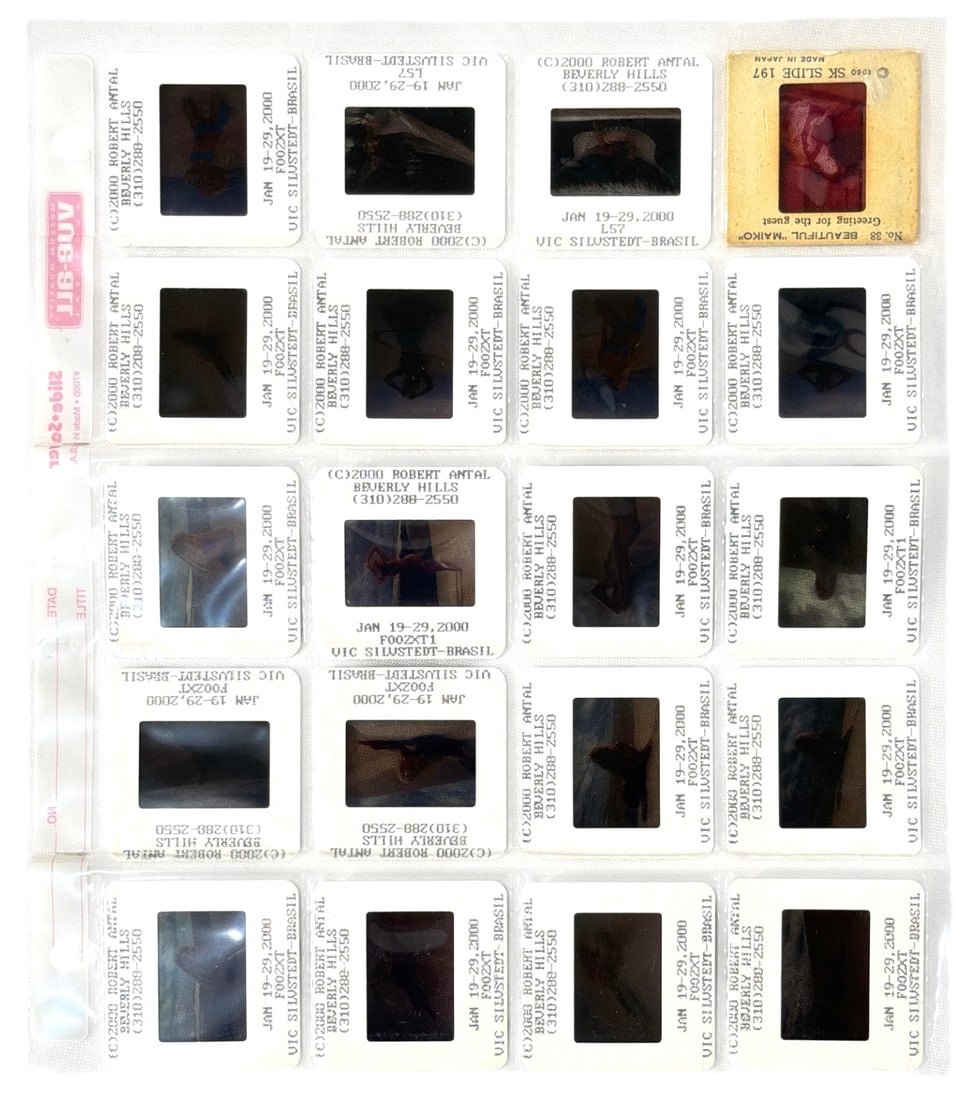 Photo Slide Collection (1 of 1)