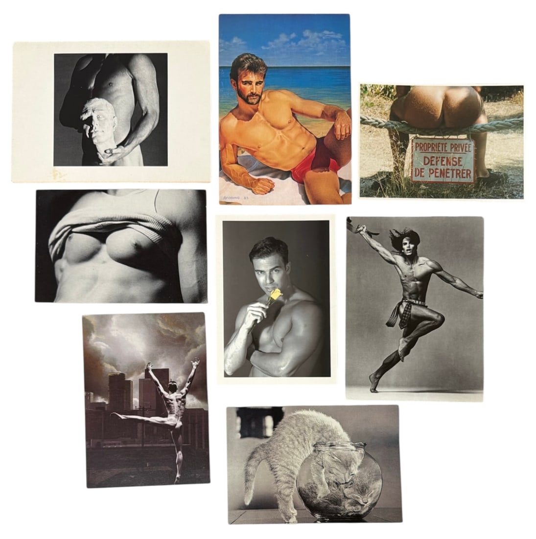 Gift Card Collection: Gift Card Collection