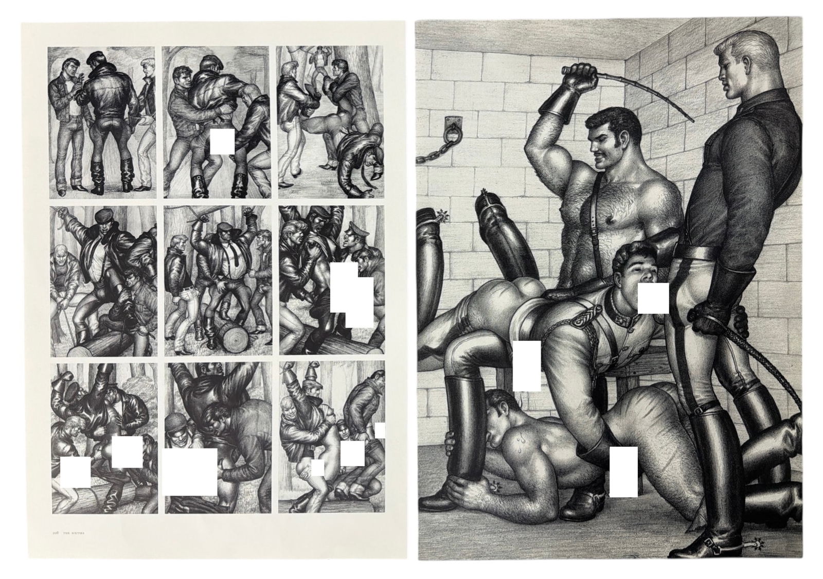 Book Page Collection: Book Page Collection