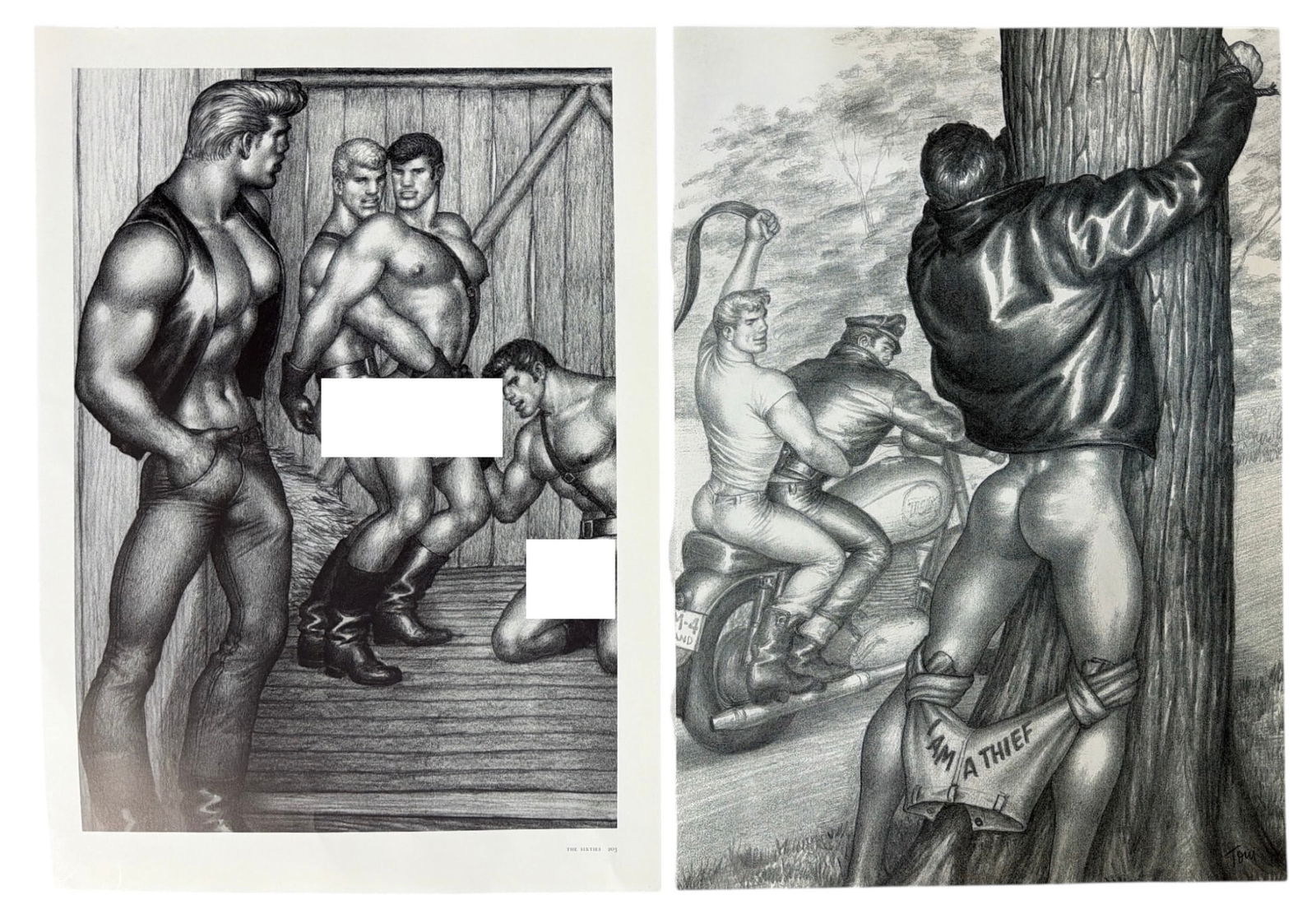 Book Page Collection: Book Page Collection