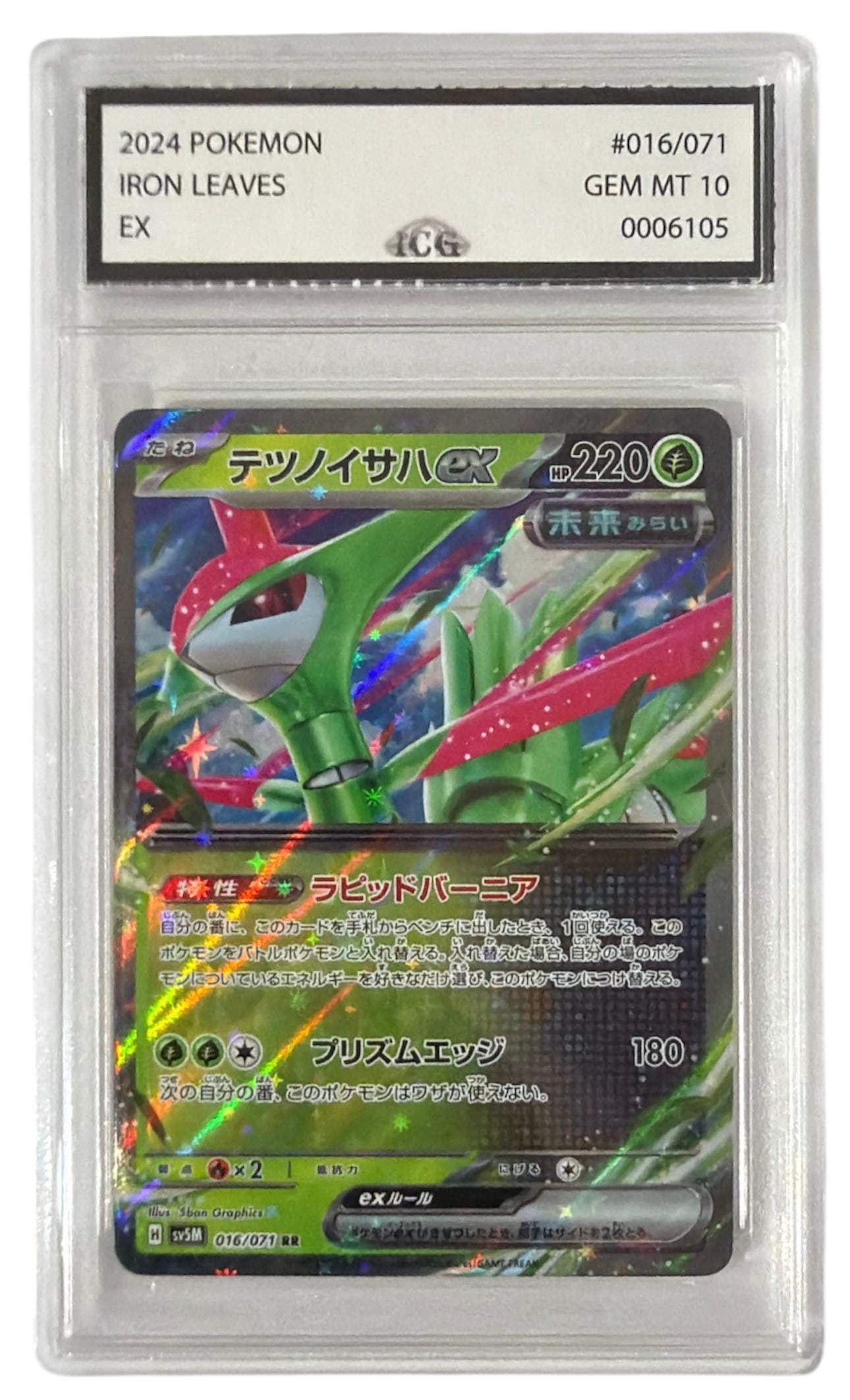 2024 Iron Leaves | Pokemon EX | No.16 | Graded 10: 2024 Iron Leaves | Pokemon EX | No.16 | Graded 10