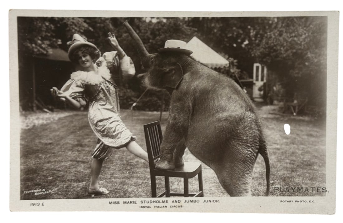 Vintage Postcard: Vintage Postcard