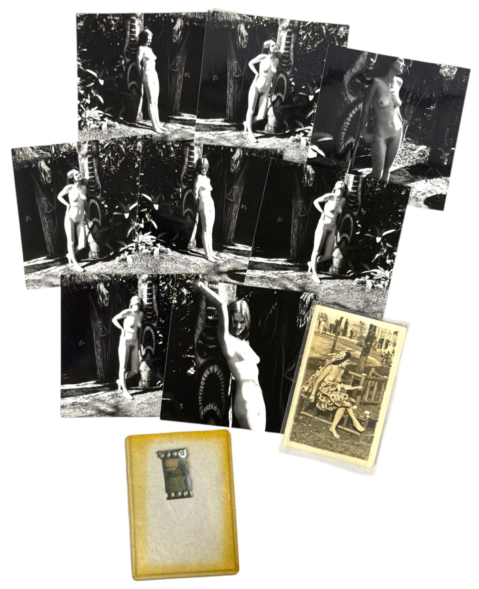 Photo Collection (1 of 2)