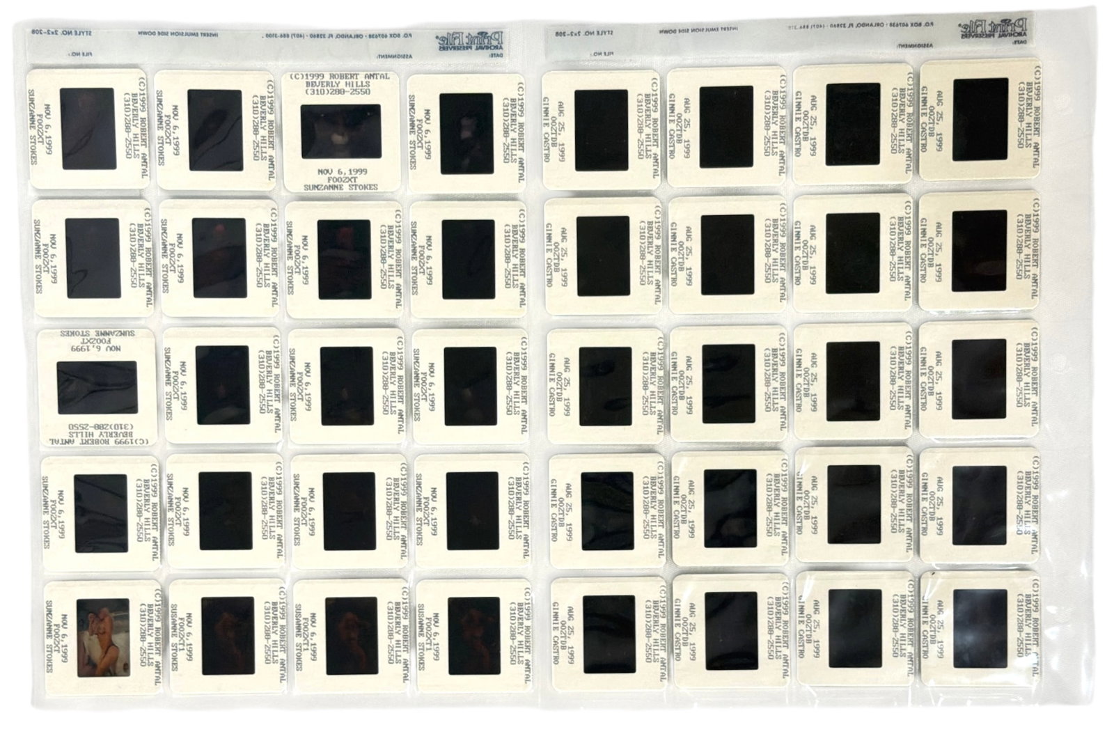 Photo Slide Collection: Photo Slide Collection