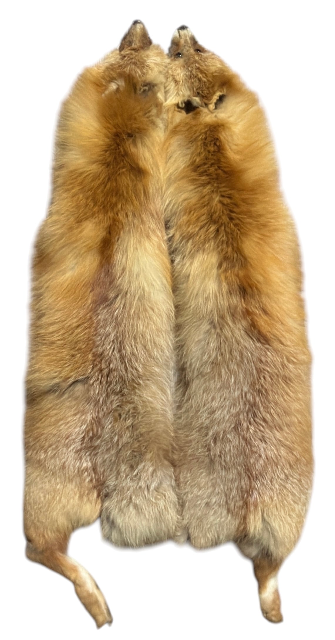 Fox Pelts: Fox Pelts