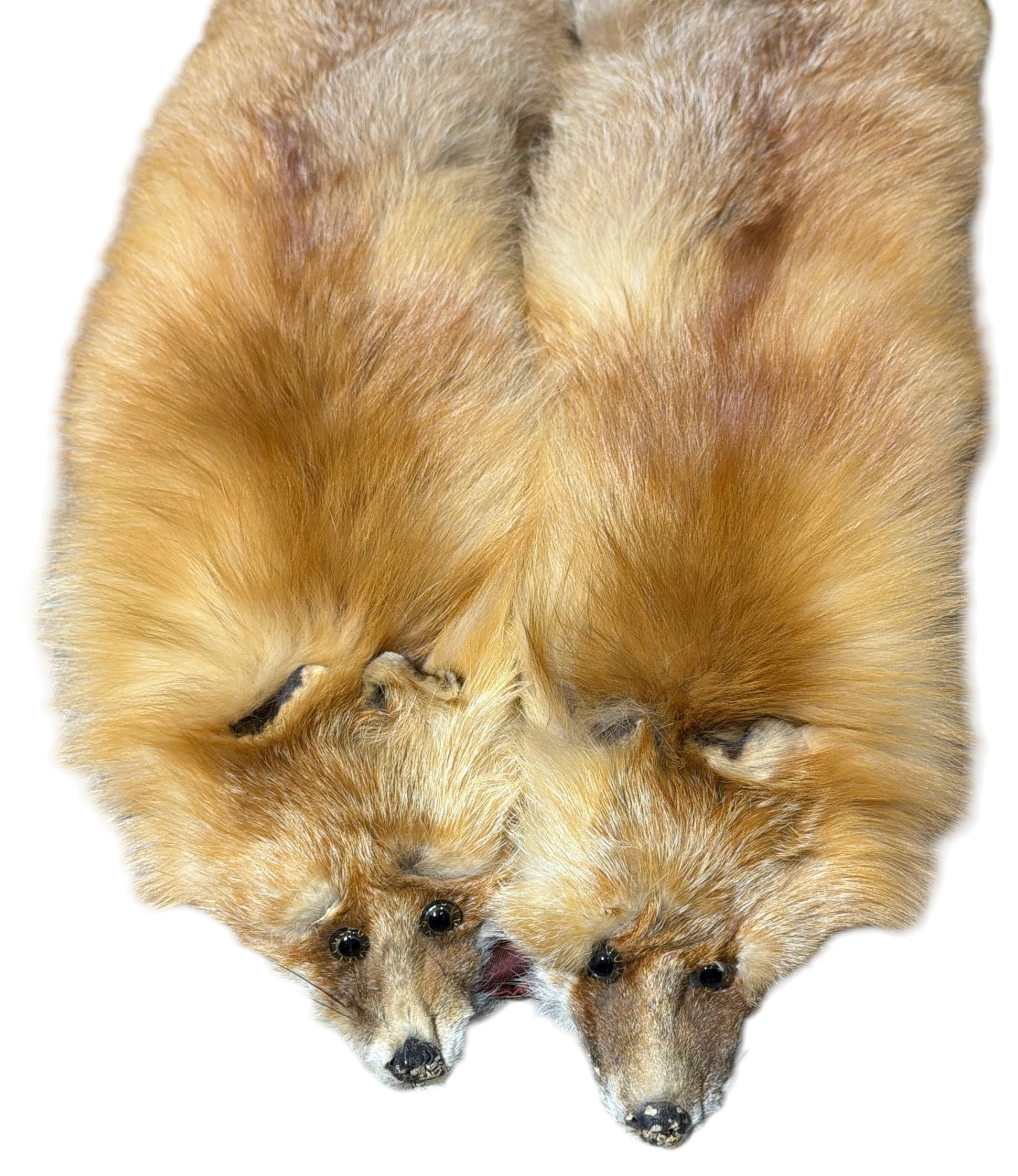 Fox Pelts - 2