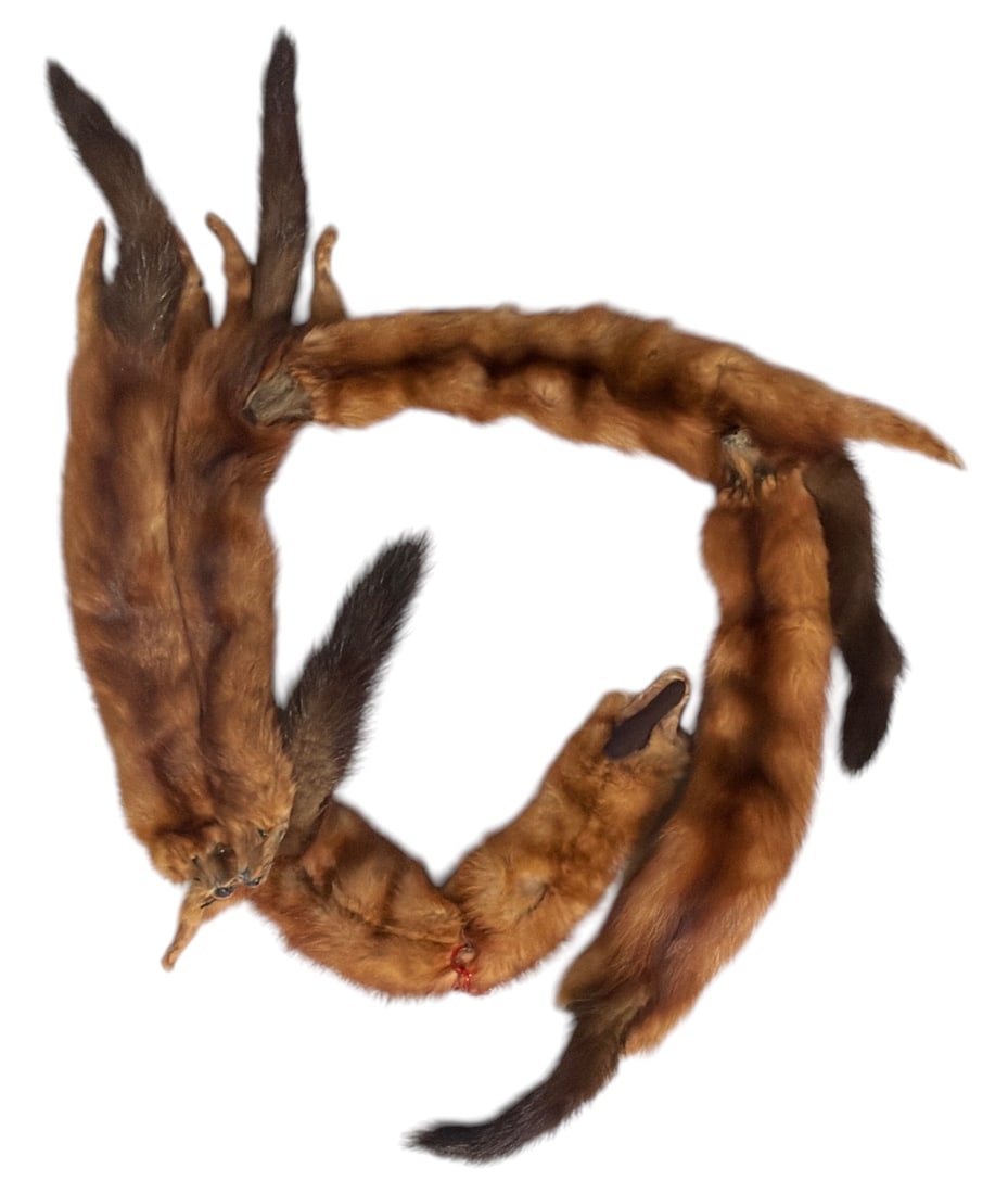 Vintage Fur Wrap: Vintage Fur Wrap