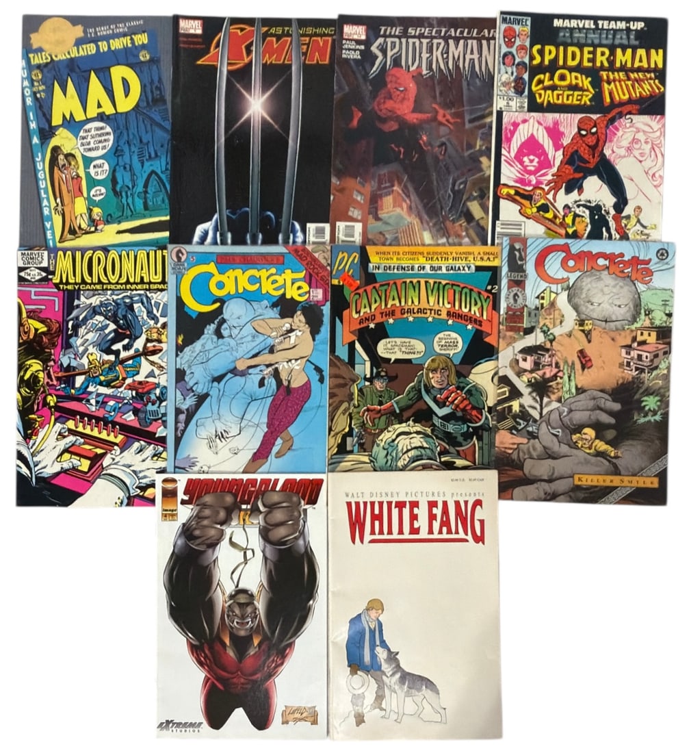 Comic Book Collection: Comic Book Collection