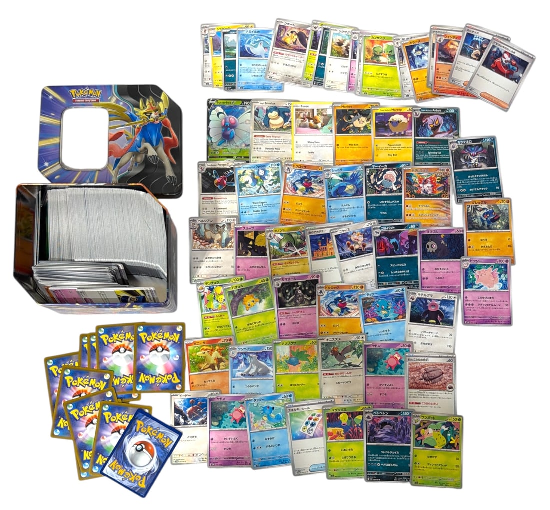Pokemon Trading Card Collection: AUTHENTICATION HAS NOT BEEN PERFORMED TO GUARANTEE VERIFICATION | All purchases are made at the buyers discretion