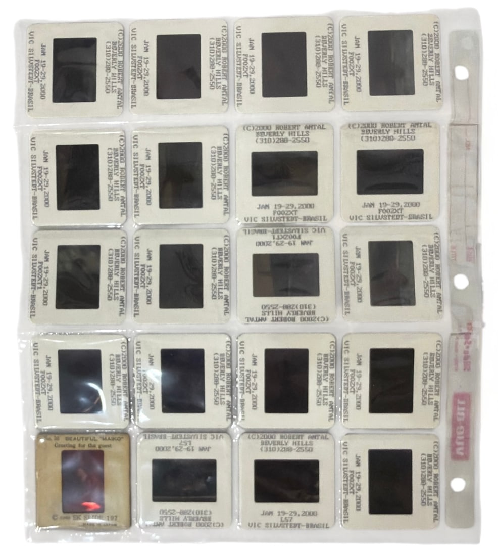 Photo Slide Collection: Photo Slide Collection